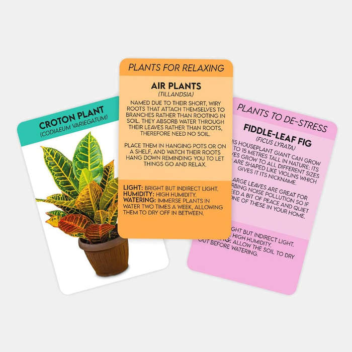 Positive Plants Card Pack