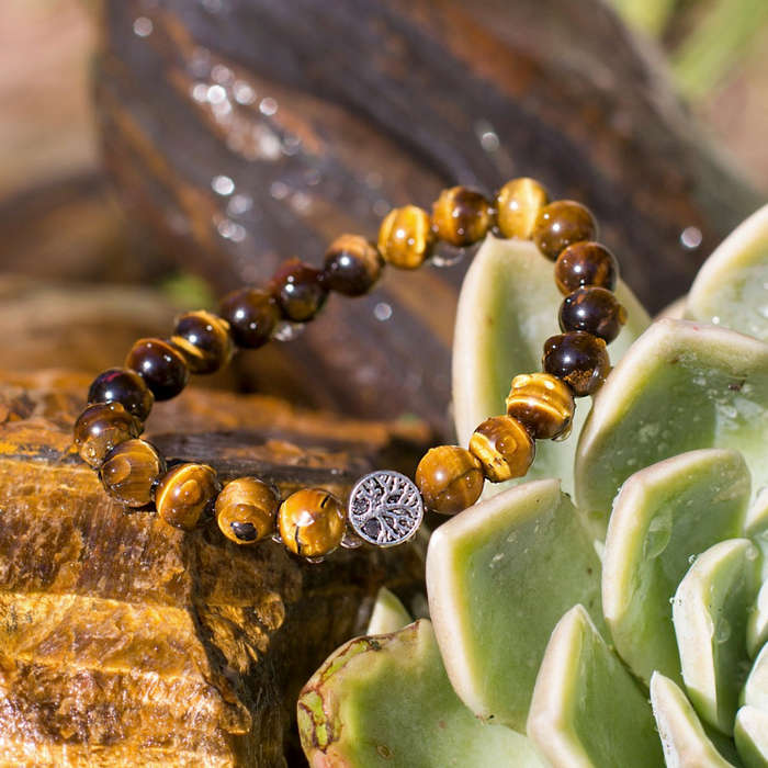 The Abundance Bracelet - Tigers Eye