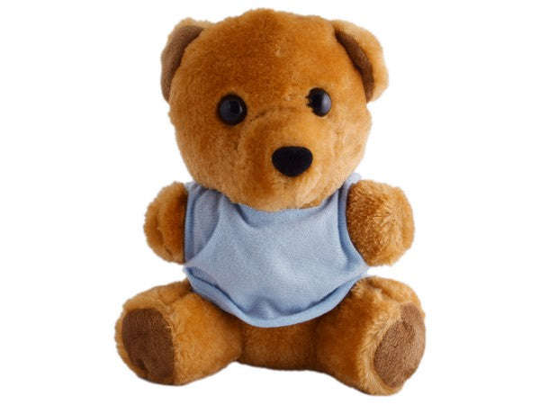 Teddy Plush Bear