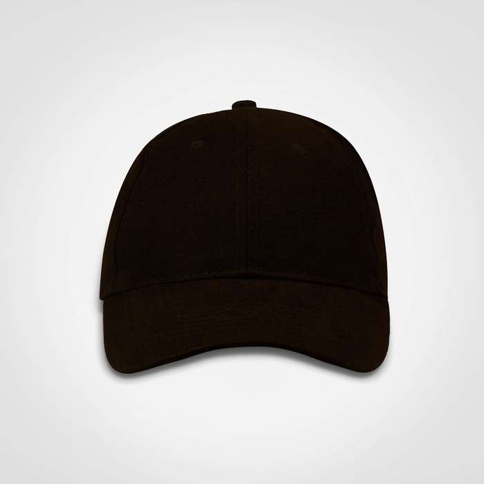 Promo 6 Panel Cap