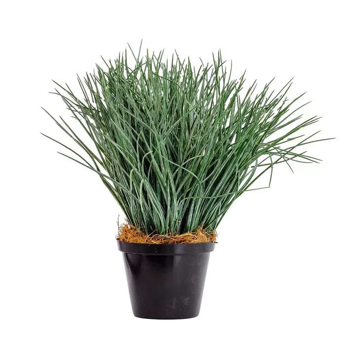 Bushy Grass Plant - 32cm