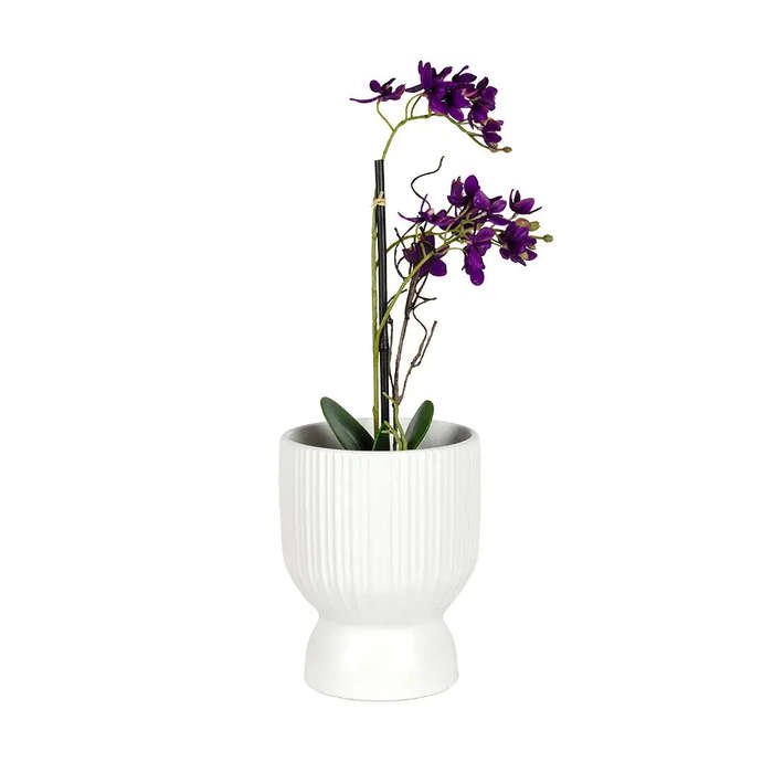 Ceramic Planter - White Lines Elevated 18cm
