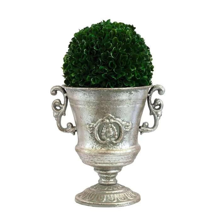 Herb Ball - Curly 17.5cm
