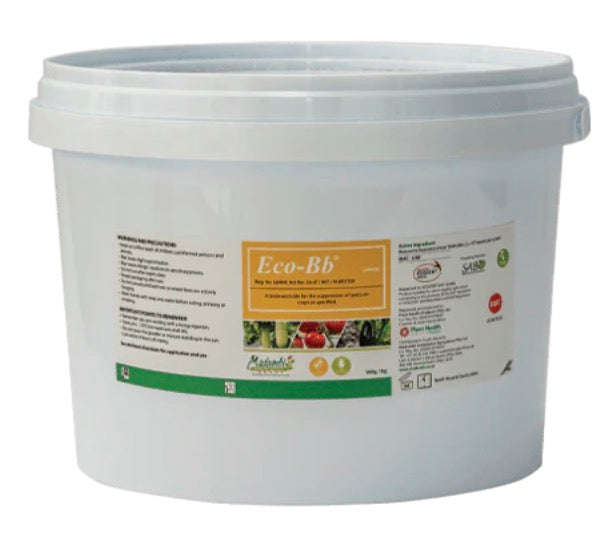 Eco-BB