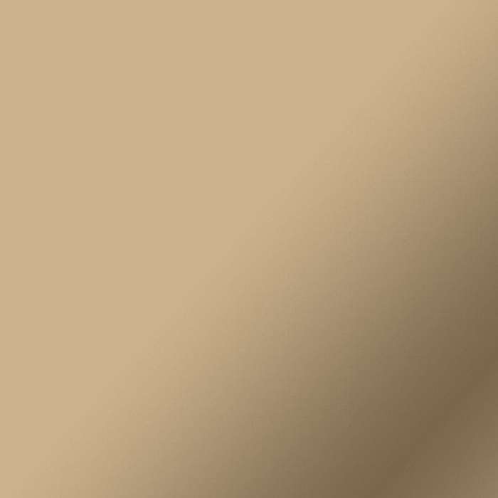 Cricut Smart Vinyl Permanent 33x91cm 1-sheet Matt Champagne 2008626