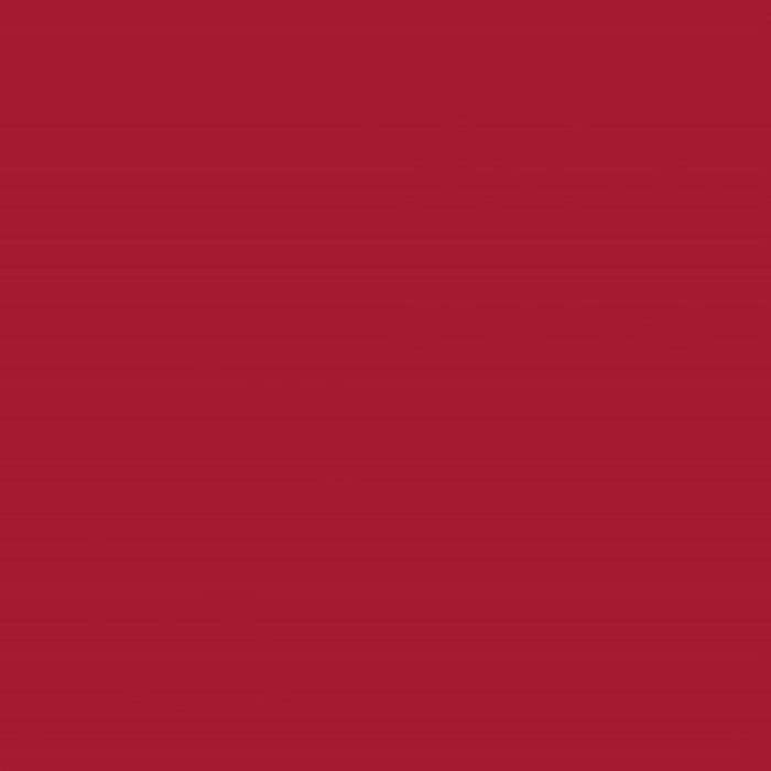Cricut Smart Vinyl Permanent 33x370cm 1-sheet Red 2008661