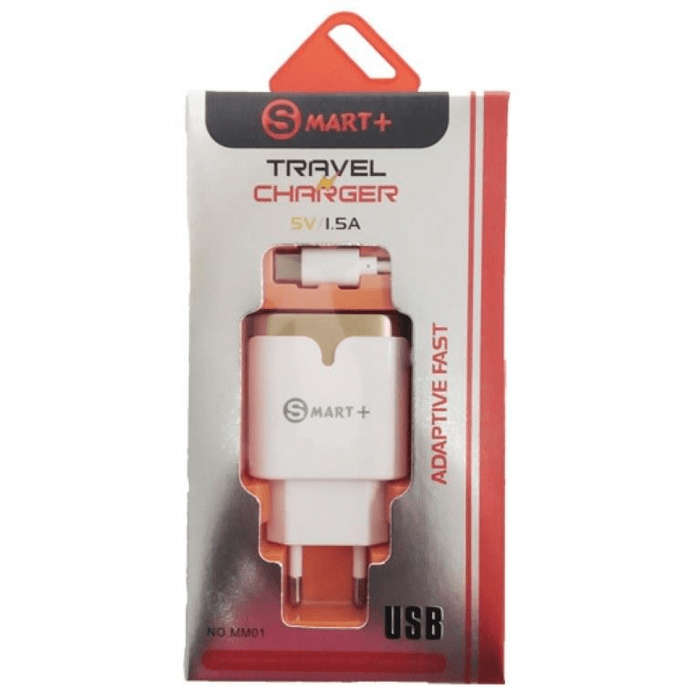 Geeko Travel Charger with Type-C Cable Silver MM01-TYPEC-WHITE/GOLD