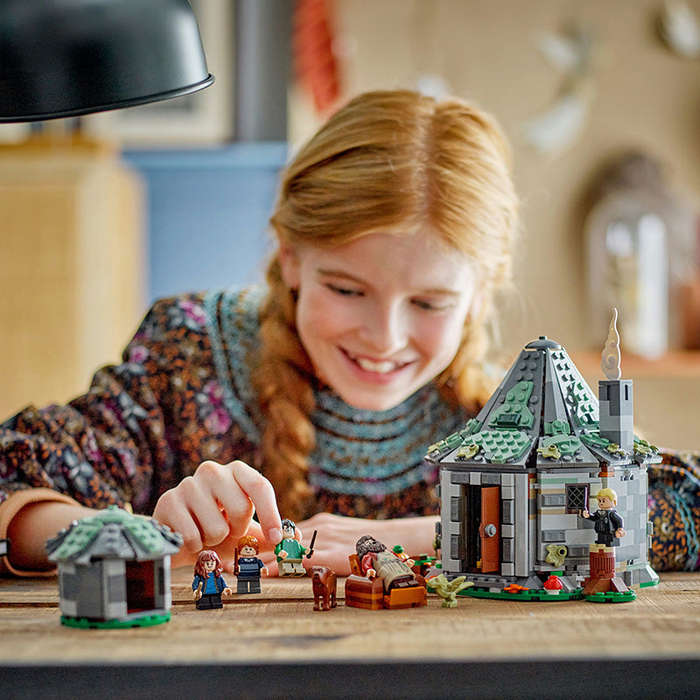 LEGO® 76428 Harry Potter - Hagrid'S Hut: An Unexpected Visit