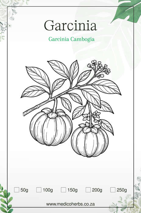 Garcinia Cambogia (60.3% Hydroxycitric acid (HCA) 250g powder