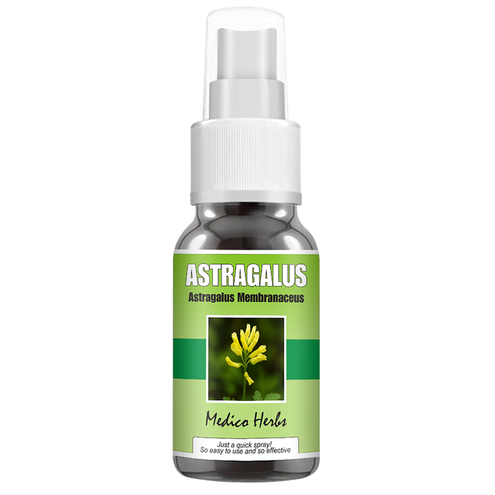 Astragalus Spray (Astragalus Membranaceus) 50ml