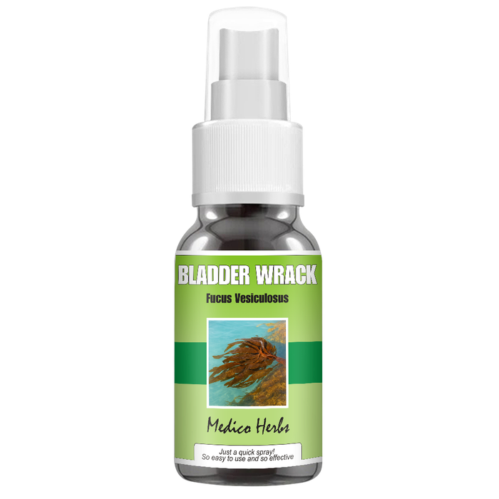 Bladderwrack Spray (Fucus Vesiculosus) 50ml