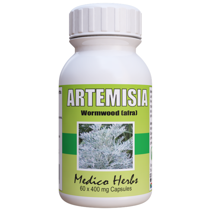 Artemisia Afra African Wormwood malaria immune 60 x 400mg Capsules