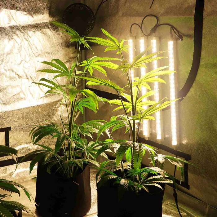 T8 LED Tube Grow Lights    for home/garden leaf green/seedling gr...