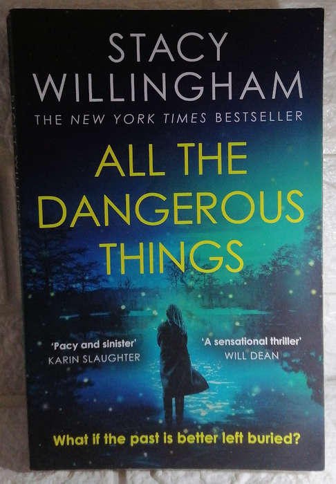 All the dangerous things (Stacy Willingham)