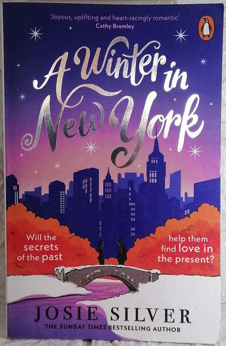 Silver, Josie - A Winter In New York (Josie Silver)