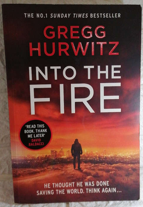 Hurwitz, Gregg - Into The Fire (Orphan X #5) (Gregg Hurwitz)