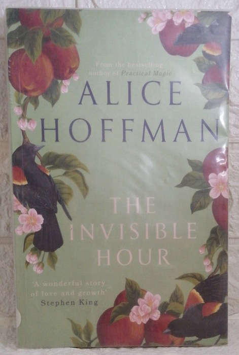 Hoffman, Alice - The Invisible Hour