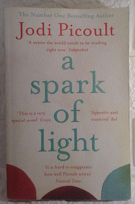 Picoult, Jodi - Spark Of Light (Jodi Picoult)