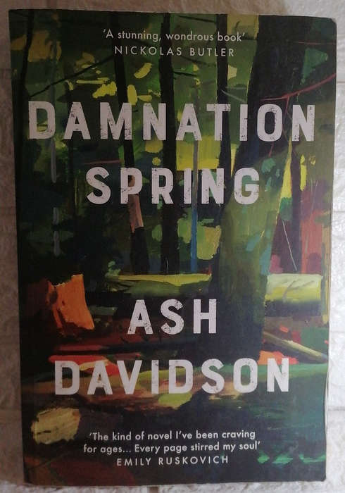 Damnation Spring (Ash Davidson)