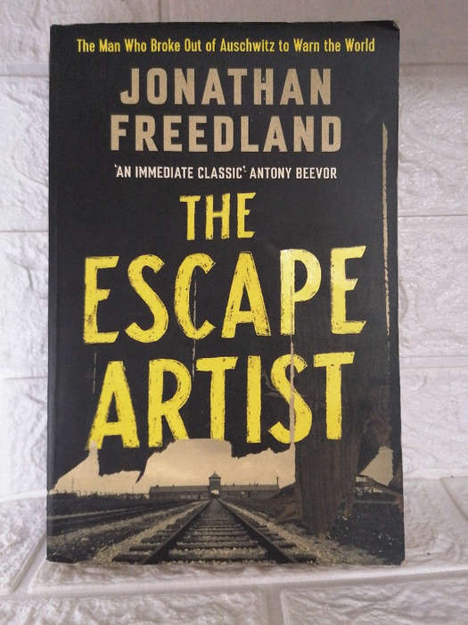 Freedland, Jonathan - The Escape Artist (Jonathan Freedland )