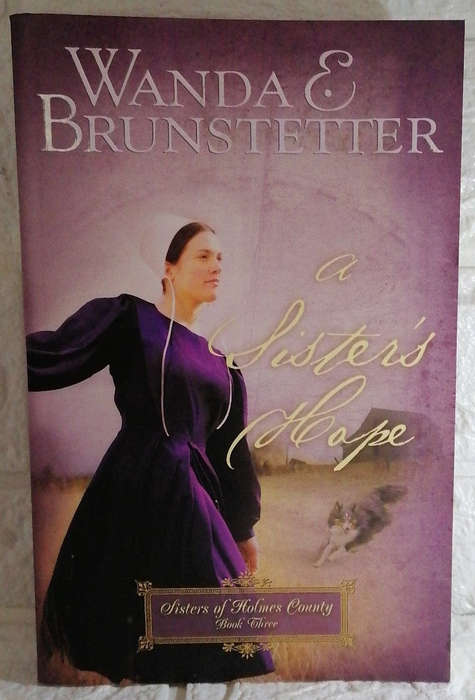 Brunstetter, Wanda E. - A Sister'S Hope (Sisters Of Holmes County, #3) (Wanda E. Brunstetter)
