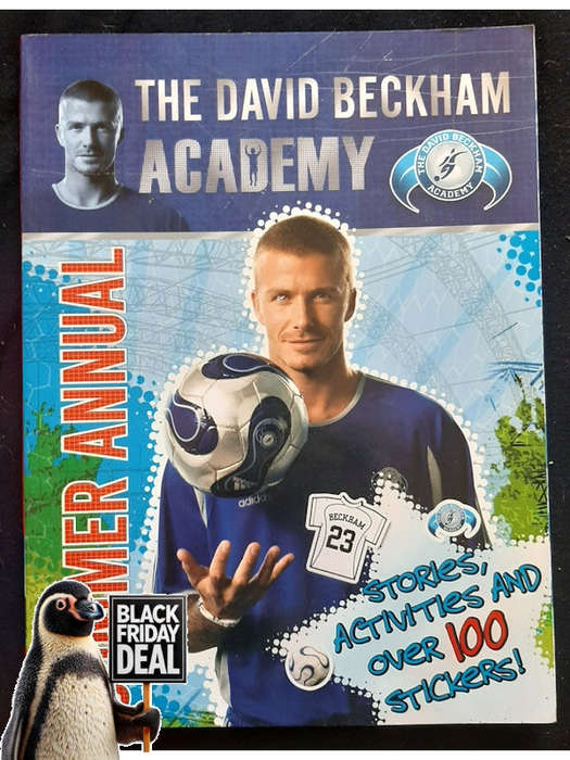 Large Paperback, Extra - The David Beckham Academy: Summer Annual (Large Paperback, Extra)