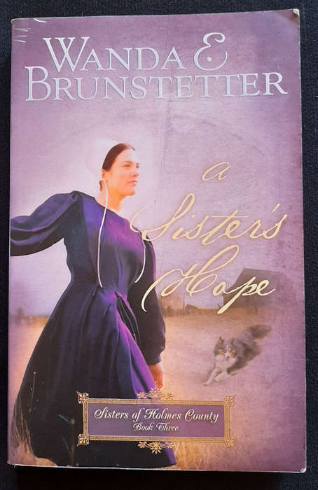 Brunstetter, Wanda - A Sister'S Hope (Sisters Of Holmes County #3) (Wanda Brunstetter)