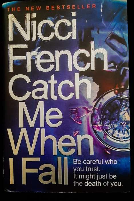 Catch Me When I Fall (Nicci French)