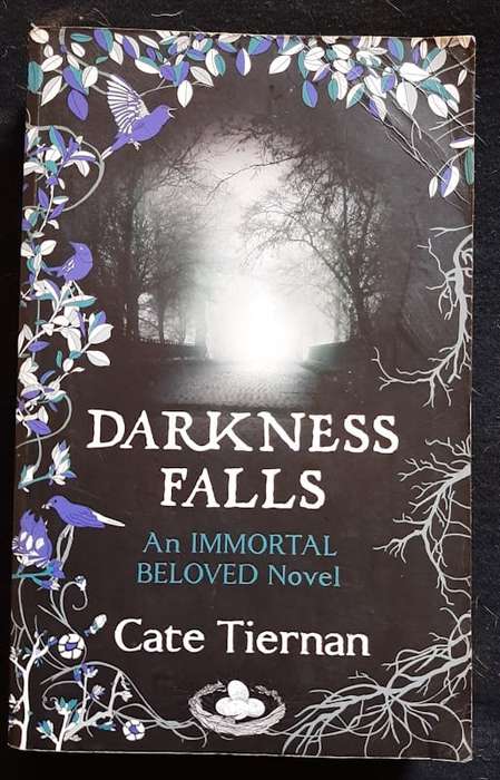 Tiernan, Cate - Darkness Falls (Immortal Beloved #2) (Cate Tiernan)