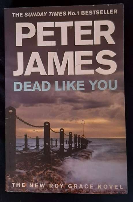 James, Peter - Dead Like You (Roy Grace #6) (Peter James)