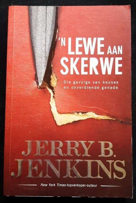 'n Lewe Aan Skerwe (Jerry B. Jenkins)