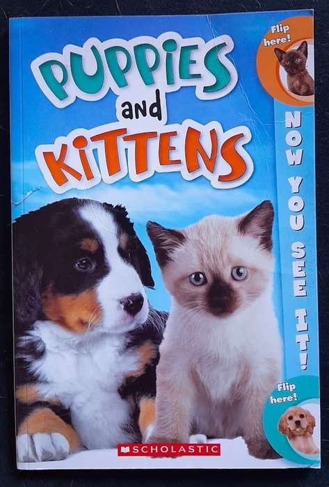 Corse, Nicole - Now You See It! Puppies And Kittens (Nicole Corse)