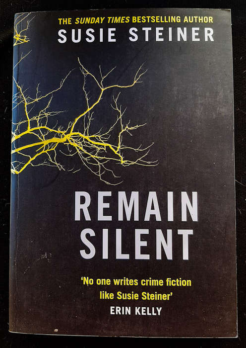 Remain Silent (DS Manon Bradshaw #3) (Susie Steiner)