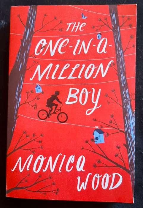 Wood, Monica - The One-In-A-Million Boy (Monica Wood)