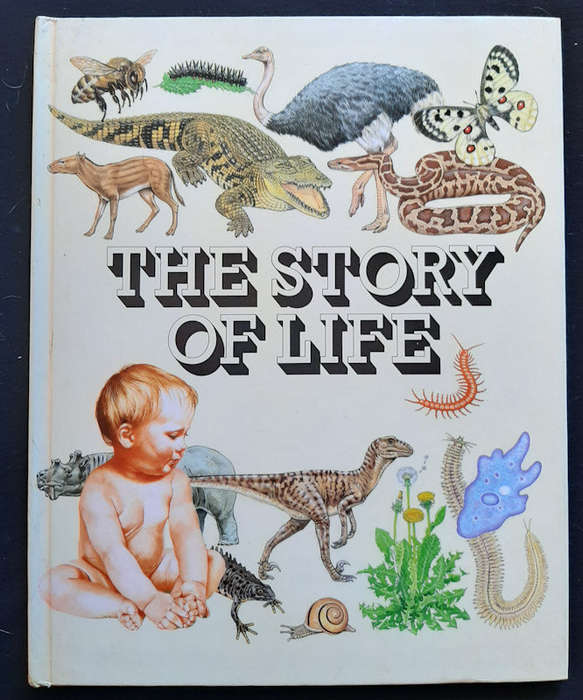 Hardcover, Extra Large - The Story Of Life (Extra Large Hardcover)