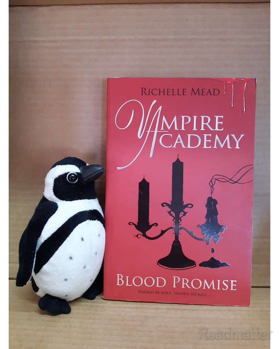 Mead, Richelle - Blood Promise Mead, Richelle