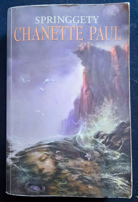 Gys Niemand-Reeks #1 Springgety (Chanette Paul)