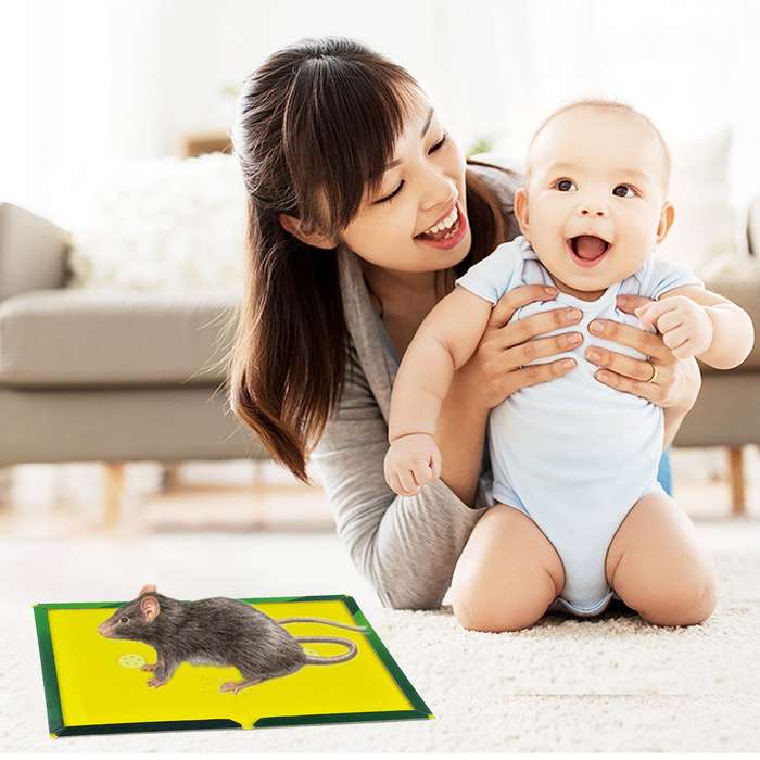 Strong Sticky Mouse Traps Rat Trap Board Snare Catcher Pad Rodent Stickers for Home Office School Da