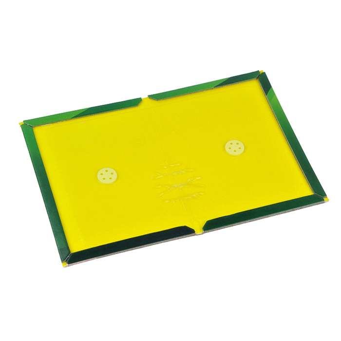 Strong Sticky Mouse Traps Rat Trap Board Snare Catcher Pad Rodent Stickers for Home Office School Da