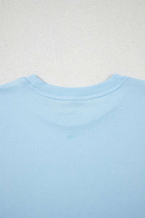 Light Blue Bright Casual Plain Crew Neck Tee