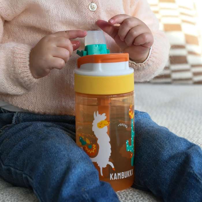 Kambukka Lagoon Mexican Parade Water Bottle with Straw Lid - 400 ml