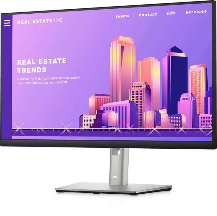 Dell P2422H 23.8 Inch FHD 1920x1080 at 60Hz 5MS IPS TFT LED Monitor -