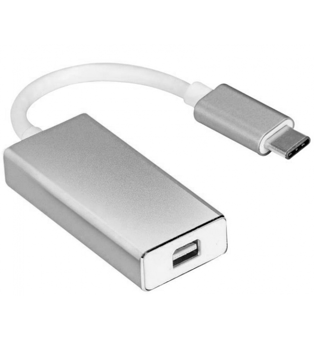 USB-C (M) TO DP MINI
