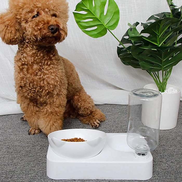 Rex - Pet Feeder