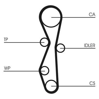 Timing Belt Ford Focus Kuga Opel Zafira Vivaro Citroën DS4 DS5 (CT1140)