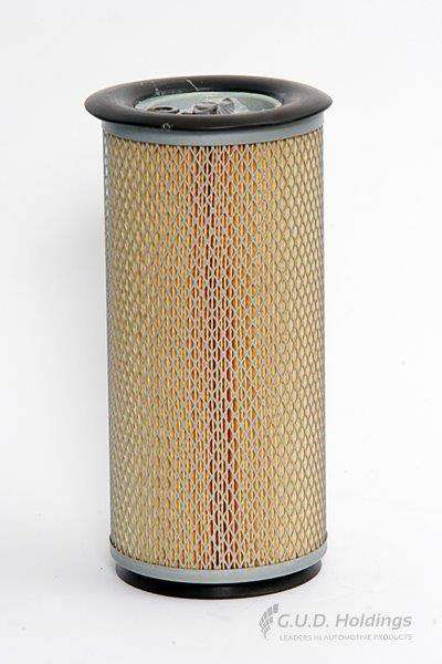 ADG680 Hd Air Filter P/Ele-Adg681 Ford Tractor (GUD)