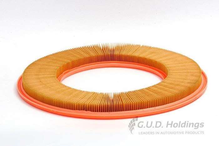 AG601 Air Filter Bmw/Mercedes (GUD)