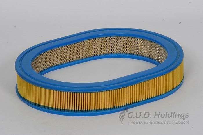 AG700 Air Filter Mazda/Ford (GUD)