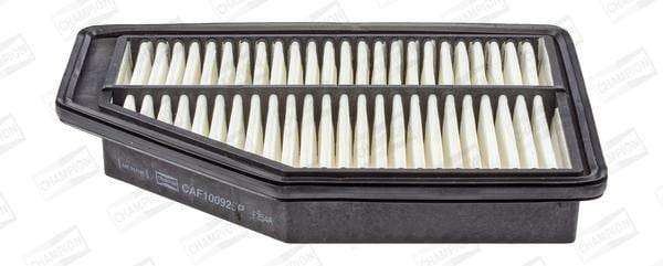 Caf100925P Air Filter Ag1596
