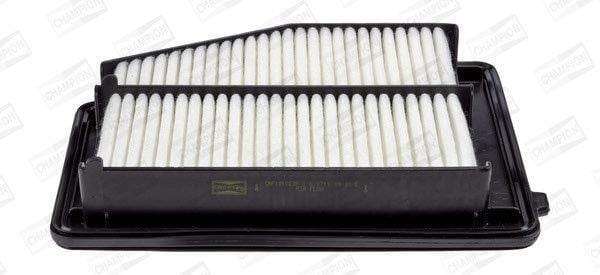 Caf101023P Air Filter Ag1607